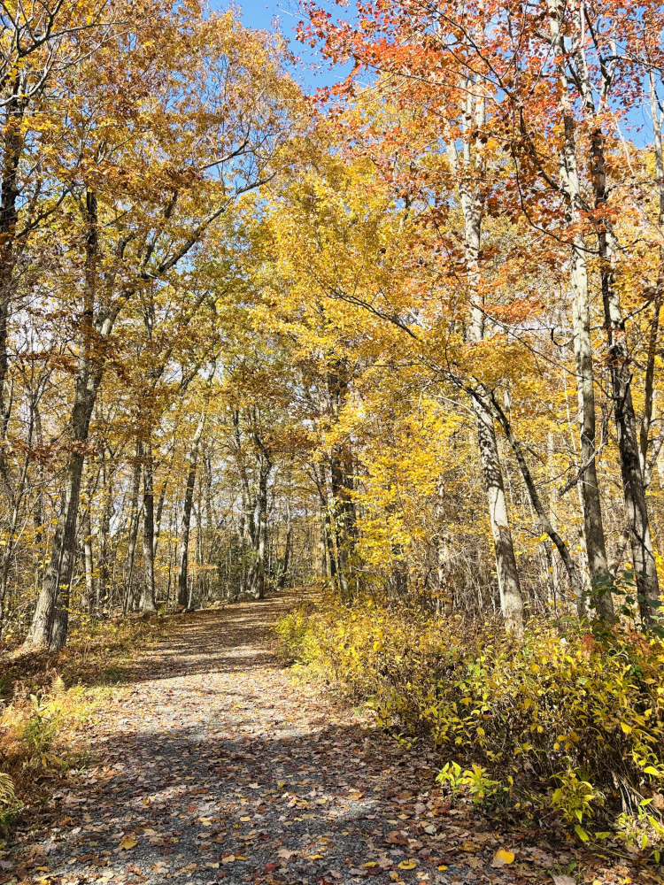 walk and talk on a trail